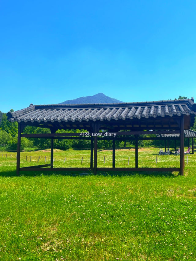 봄은 피크닉의 계절! 부산 및 근교 피크닉 공원 여행코스 🌱