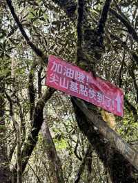 走走林相優美的復興尖山