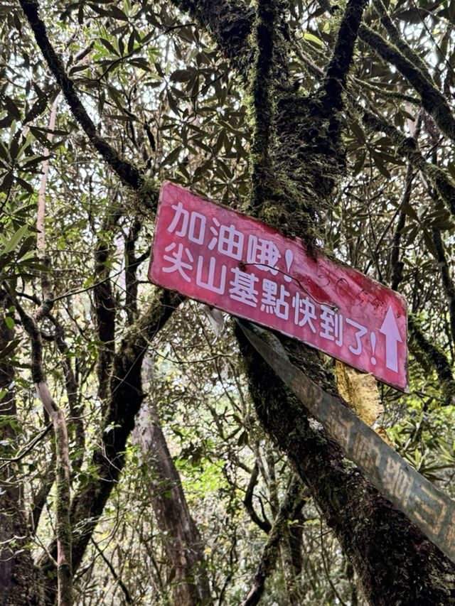 走走林相優美的復興尖山