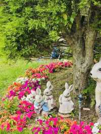 Wonye Arts Village: A Tapestry of Horticultural Artistry 