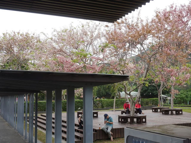 阿里山國家風景區-管理處暨觸口遊客中心