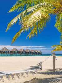 🏝️✨ Dive into Paradise: My Magical Journey in the Maldives! ✨🏝️