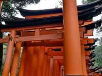 후시미이나리신사 후기 Journey to Fushimi Inari Taisha
