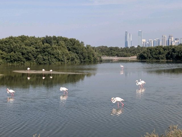 【ドバイ🇦🇪】