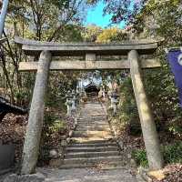 🇯🇵【愛媛県】松山市にある高家八幡神社⛩️！
