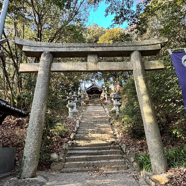 🇯🇵【愛媛県】松山市にある高家八幡神社⛩️！