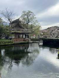Mount Fuji Magic: Sakura, Serenity, and Stunning Views