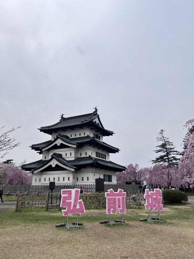 絕美賞櫻勝地 陰天也超美 弘前公園☺️