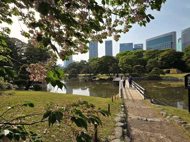 Hamarikyu Garden Stroll