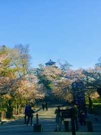 Tsuruga Castle – A Spring Icon of Aizuwakamatsu