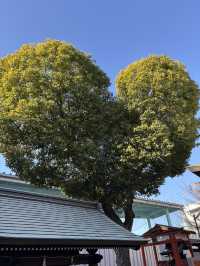 【兵庫 神戸】毎月1日限定可愛い華守(はなまもり)