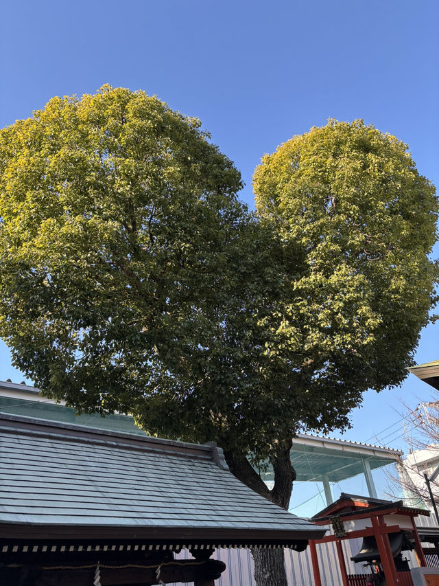 【兵庫 神戸】毎月1日限定可愛い華守(はなまもり)