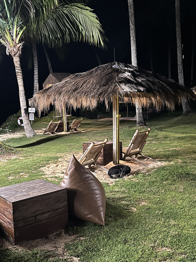 beachfront hotel in Koh Kood Thailand 🇹🇭