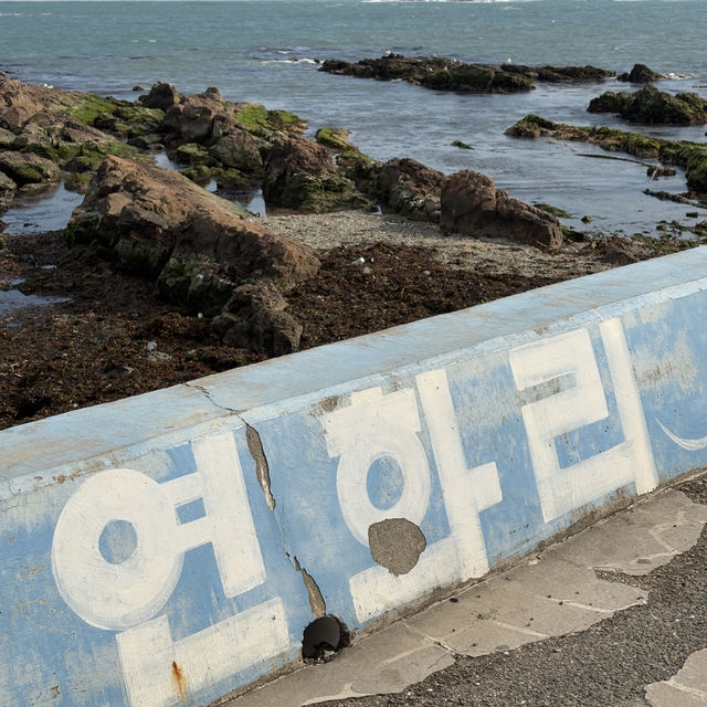 부산 기장 연화리 해녀촌 맛집 추천 가성비와 맛, 뷰까지 대박인 곳