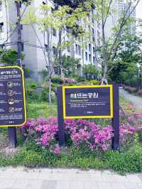 해뜨는 공원 산책 추천드려요!