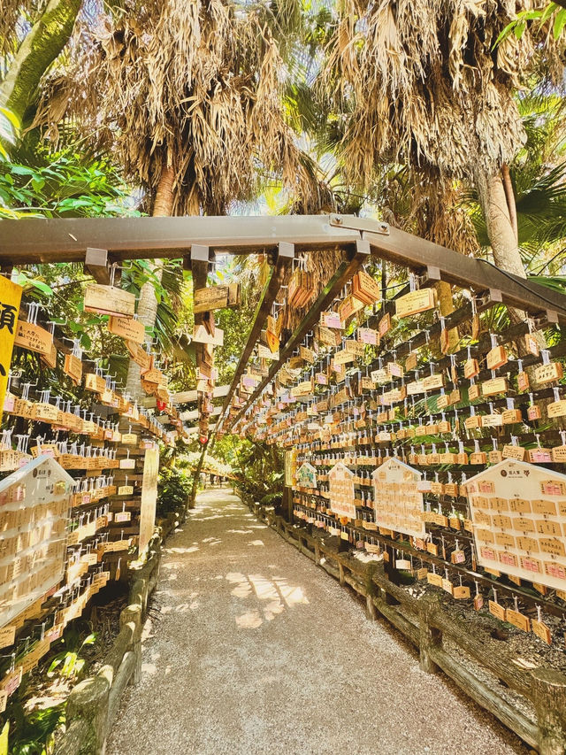 美麗的宮崎青島