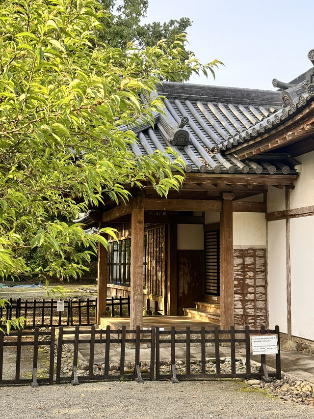 美好時光下的飫肥城下町