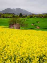Boryeonara academy farm