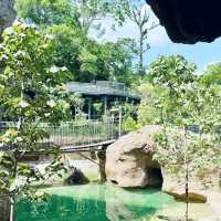 Jungle Vibes Only: Exploring Rainforest Wild Asia 🇸🇬