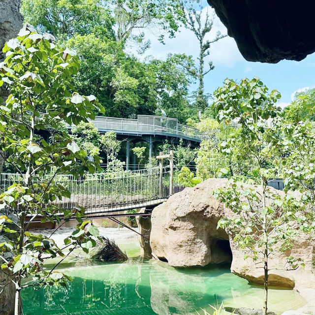 Jungle Vibes Only: Exploring Rainforest Wild Asia 🇸🇬