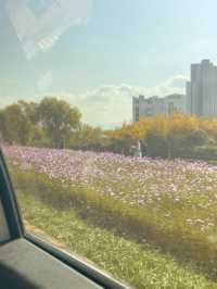 대전 대덕구에서 즐기는 1일 나들이 🧸🍀🌸