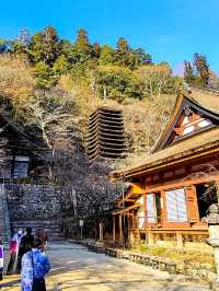 Tanzan shrine 