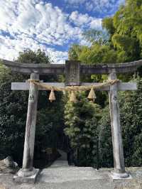 【熊本旅行】竹林に囲まれた知る人ぞ知るパワースポット神社⛩