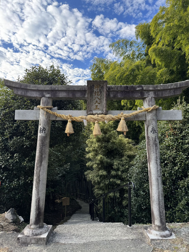 【熊本旅行】竹林に囲まれた知る人ぞ知るパワースポット神社⛩