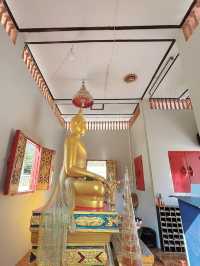 ต้นโพธิ์ที่เก่าแก่ที่สุดในไทยที่ อ.ศรีมโหสถ ปราจีน