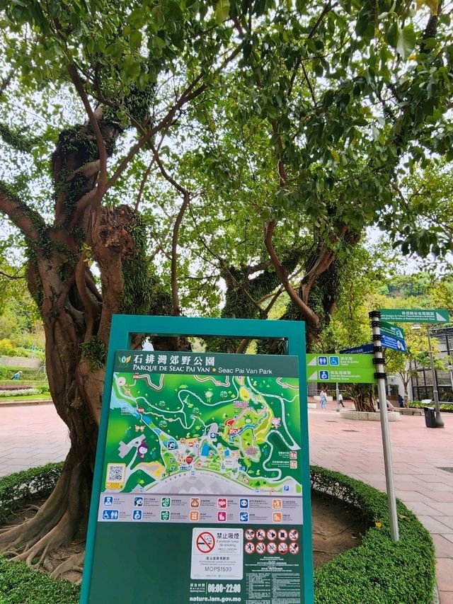 澳門親子景點🦝澳門大熊貓館  |免費參觀|