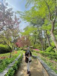 Going to Nami Island by Public Transport 😍