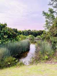 Tranquil Escape at Taman Tasik Cyberjaya