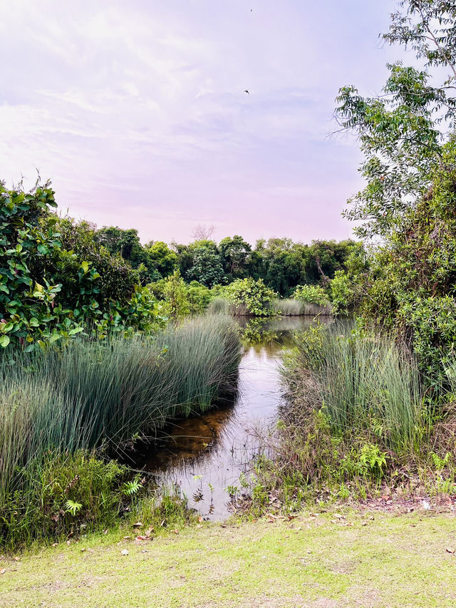 Tranquil Escape at Taman Tasik Cyberjaya