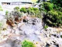 #波胡圖間歇噴泉Pohutu Geyser -紐西蘭羅託魯瓦