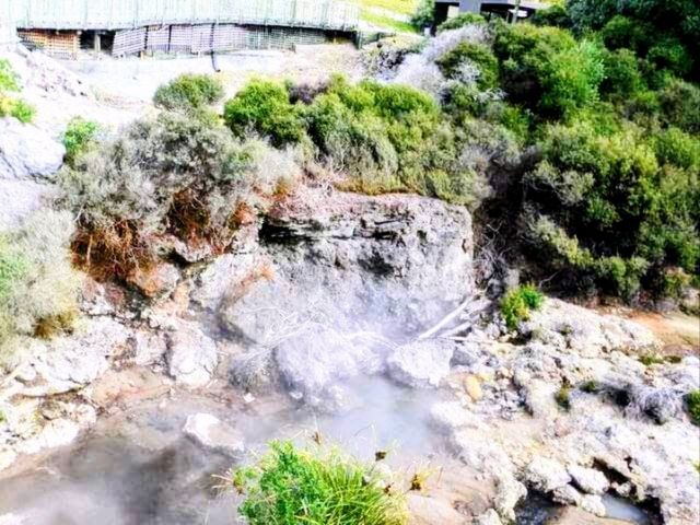 #波胡圖間歇噴泉Pohutu Geyser -紐西蘭羅託魯瓦