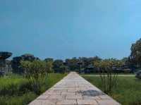 Warangal Fort: A Journey Through Time in Telangana