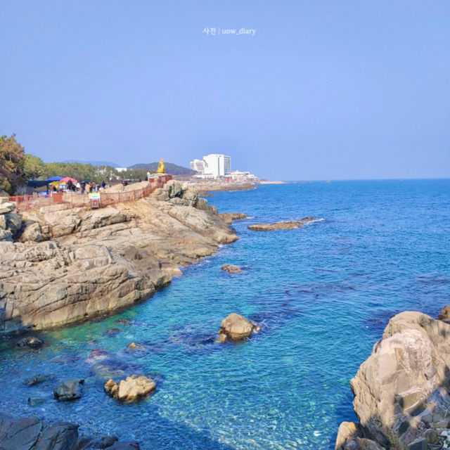 부산 바다 코앞 사찰! [부산여행지🌊🎋]