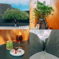  คาเฟ่สไตล์ Modern ชลบุรี Mood ดีมากกก ☕️🌳