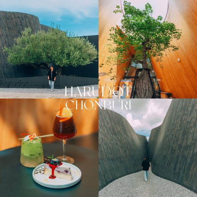  คาเฟ่สไตล์ Modern ชลบุรี Mood ดีมากกก ☕️🌳