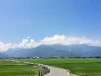 🌿台東伯朗大道｜沉浸在一望無際的翠綠稻田中