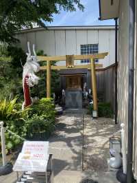【東京都品川🇯🇵 蛇窪神社】東京の白蛇さまへ☺️