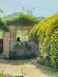 동화 속 분위기의 목향장미 카페💛  