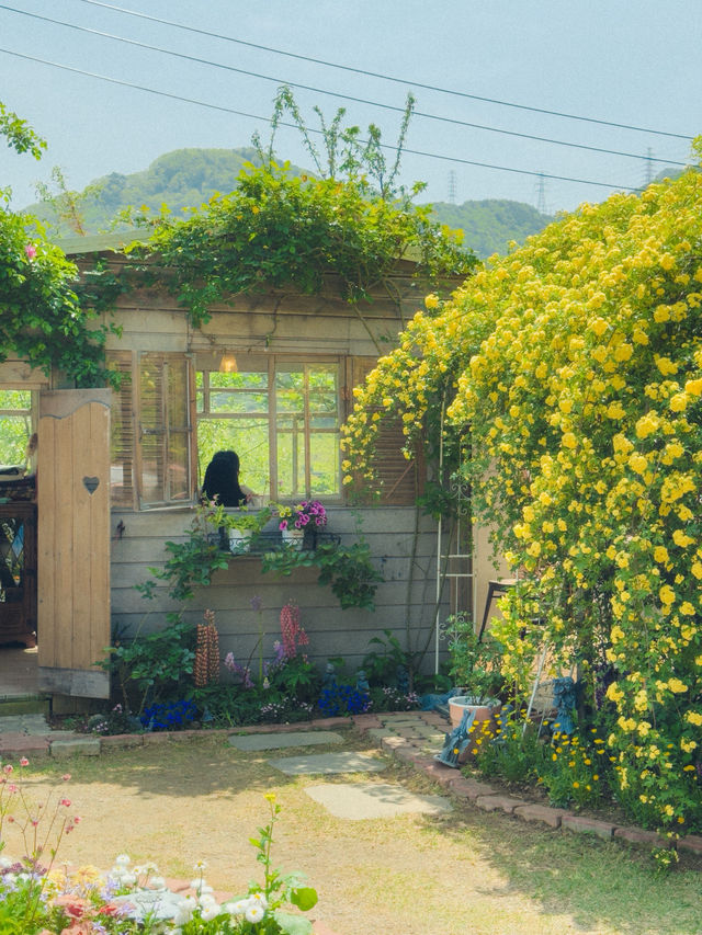 동화 속 분위기의 목향장미 카페💛  