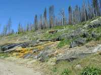 Faith on the Frontier: Walk the Mormon Trail
