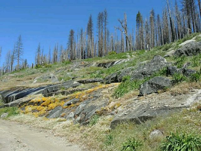 Faith on the Frontier: Walk the Mormon Trail