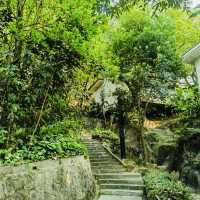 ～金山公園～端午節的綠意好去處～