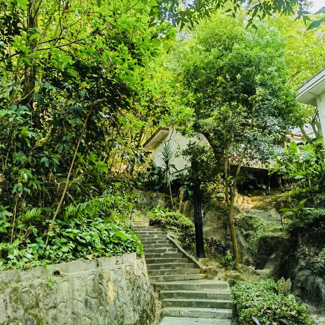 ～金山公園～端午節的綠意好去處～