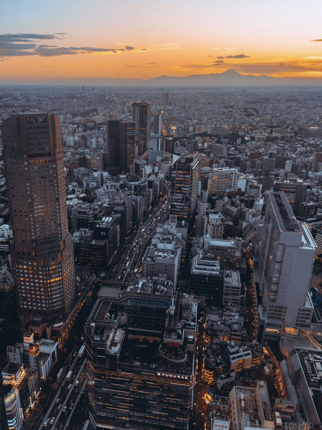 澀谷區天空之城💕SHIBUYA SKY