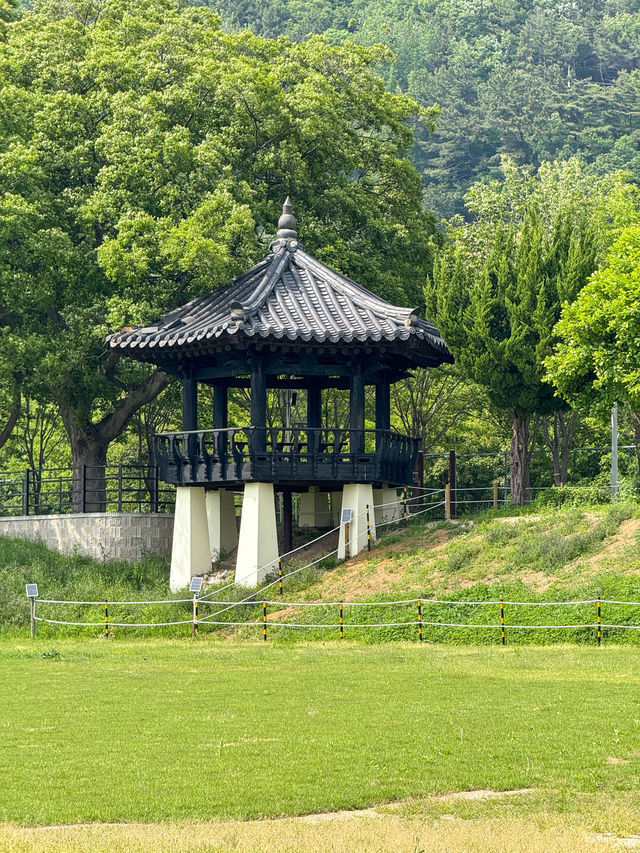 꽃보며 산책하기 좋은 ‘황산공원’