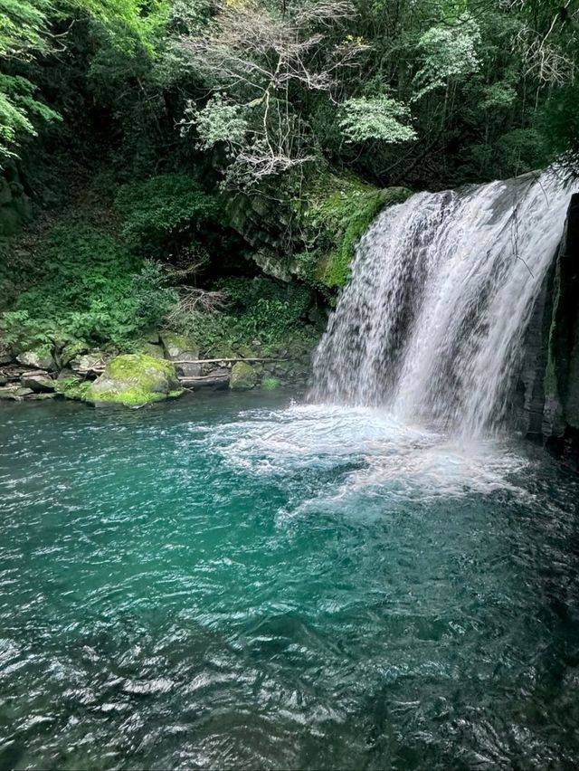 Spring’s Waterfall Wonderland